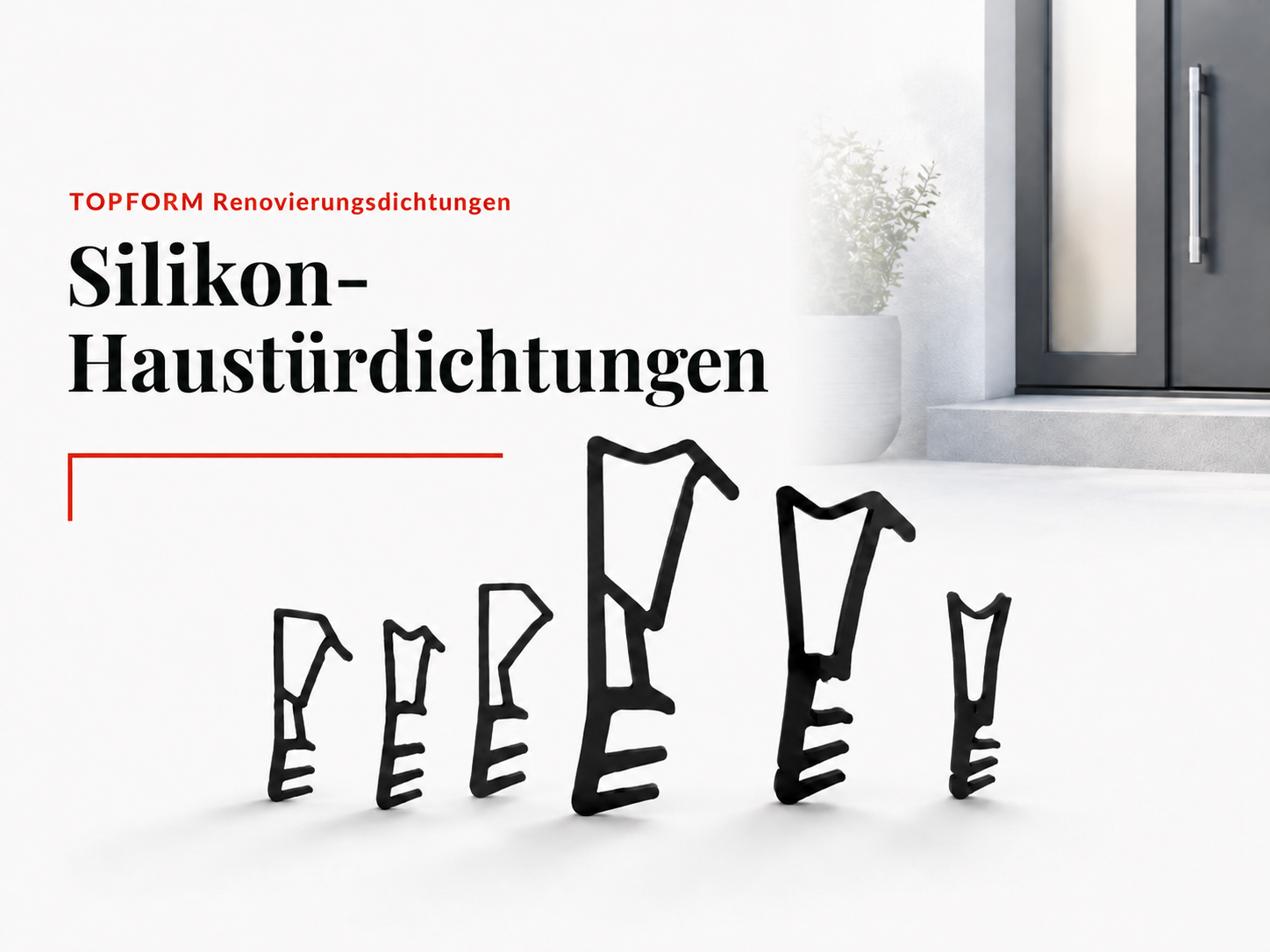 Silikon-Haustürdichtungen
